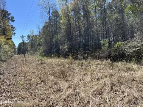 lot Apt 0 Sr 1736 Rd, Bath, NC 27808