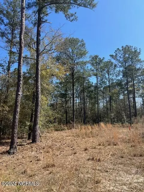 6686 Mossey Run Dr NE, Leland, NC 28451