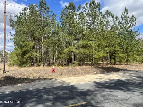 4 1 Ella Maes Dr, Saint Pauls, NC 28384