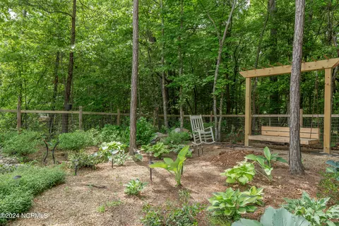 233 Forester Dr, Vass, NC 28394 photo 22