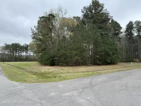 17 Shetland Pony Way, Hertford, NC 27944