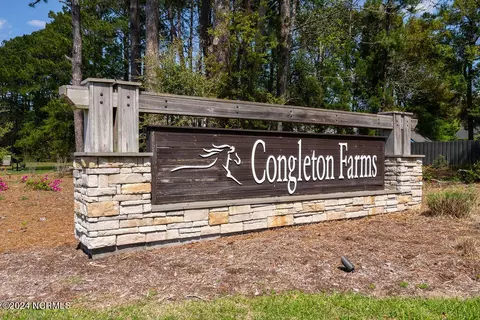 1237 Lt Congleton Rd, Wilmington, NC 28409 photo 53