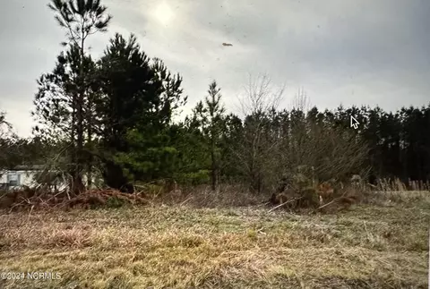 116 Spruill Loop Rd, Roper, NC 27970