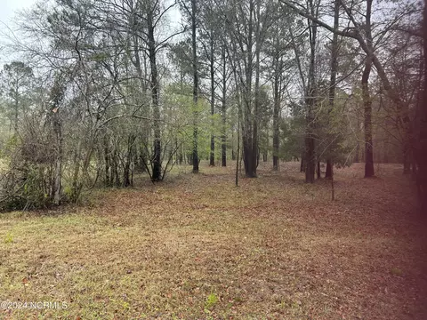 lot26 E River Front Ln, Trenton, NC 28585
