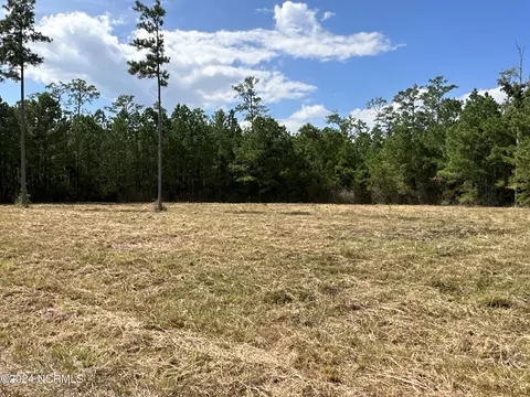 0 Sandy Pt, Scranton, NC 27875 photo 21