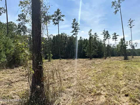 0 Sandy Pt, Scranton, NC 27875 photo 12