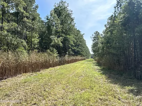 0 Sandy Pt, Scranton, NC 27875 photo 45
