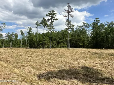 0 Sandy Pt, Scranton, NC 27875 photo 18