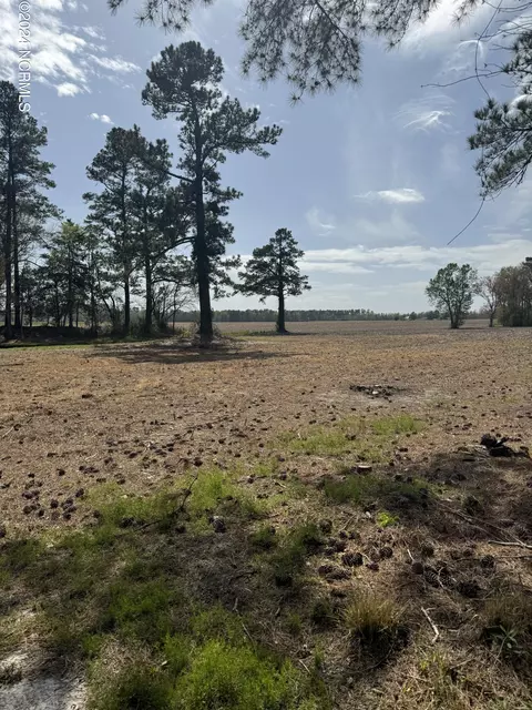 8624 Swamp Fox Hwy E, Tabor City, NC 28463