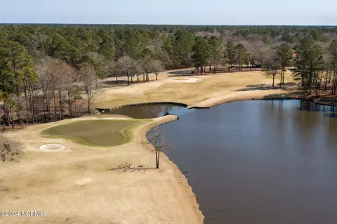 View/Area - 189 Cherry Laurel Dr, Wallace, NC 28466 photo 7 of 16