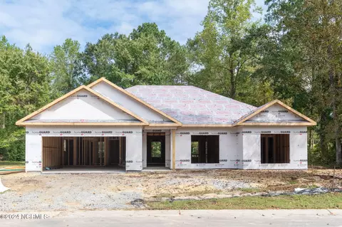 Other - 189 Cherry Laurel Dr, Wallace, NC 28466 photo 1 of 23