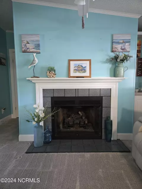102 Ocean Spray Dr, Cedar Point, NC 28584 photo 23