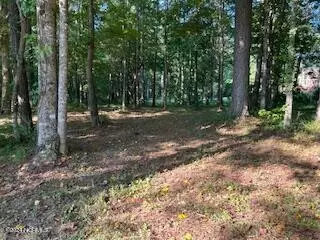 3810 Lichen Ln, New Bern, NC 28562