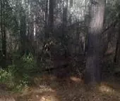 145 Brooks Ln, Southern Pines, NC 28387