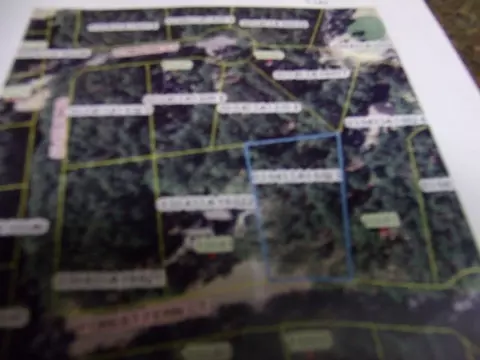23 Forest Fern Ct, Wagram, NC 28396