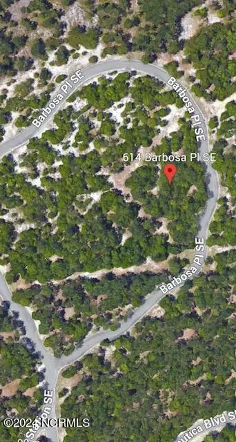 614 Barbosa Pl SE, Bolivia, NC 28422