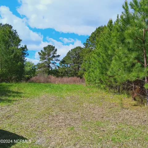76 77r Sycamore Dr # R, Burgaw, NC 28425