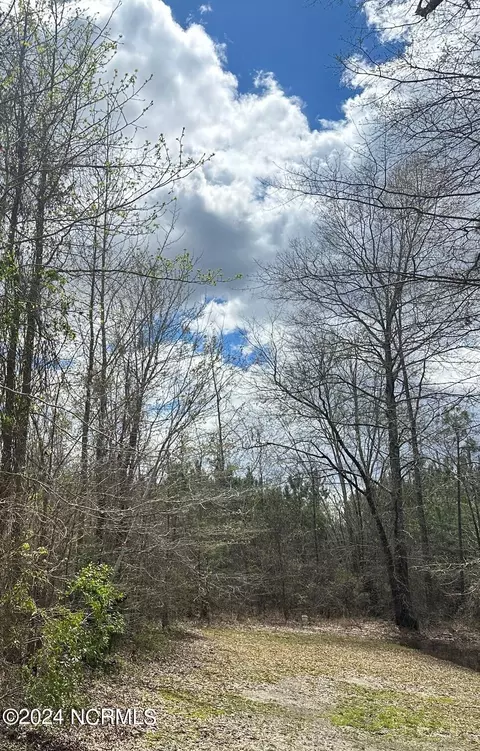 Parcel 5 Hassell Road, Elizabeth City, NC 27909