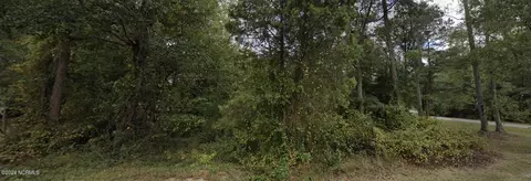 1169 Buck Swamp Rd, Pikeville, NC 27863