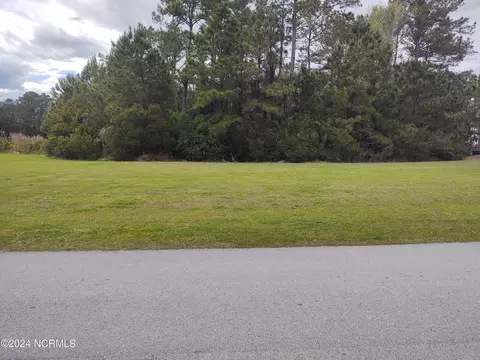 810 Sweetgrass St, Holly Ridge, NC 28445