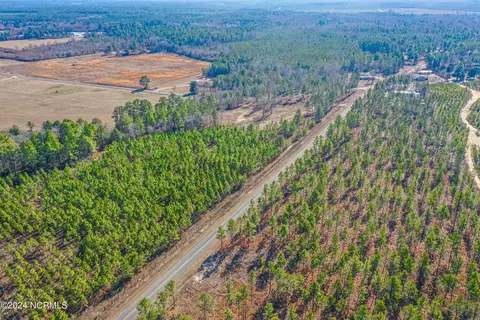 tbd Coles Store Rd, Hamlet, NC 28345 photo 5