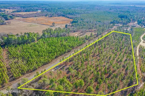 tbd Coles Store Rd, Hamlet, NC 28345 photo 3