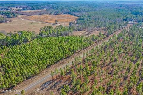 tbd Coles Store Rd, Hamlet, NC 28345 photo 2