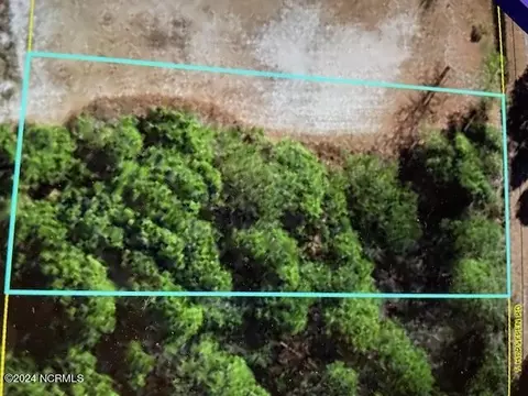 547 S Horsepen Dr, Harrells, NC 28444