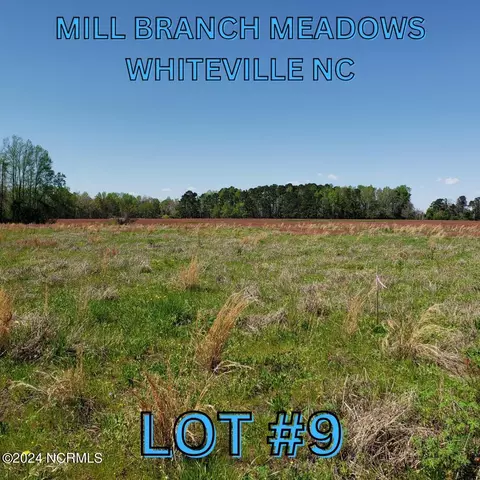 96 Mill Branch Dr, Whiteville, NC 28472