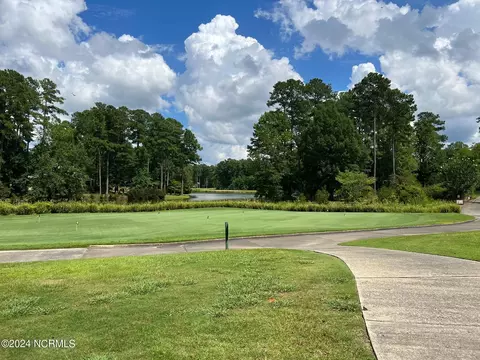 View/Area - 101 Newport Ct, Chocowinity, NC 27817 photo 10 of 26