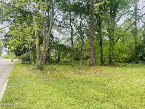 Near 115 Oliver Street E, Whiteville, NC 28472