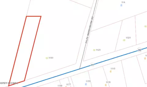 0 Nc Highway 53, Burgaw, NC 28425