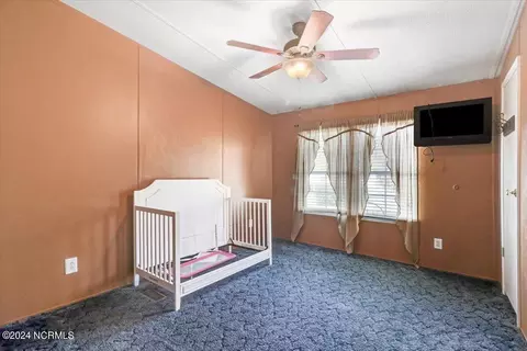 109 Barnwell Rd, Dudley, NC 28333 photo 28