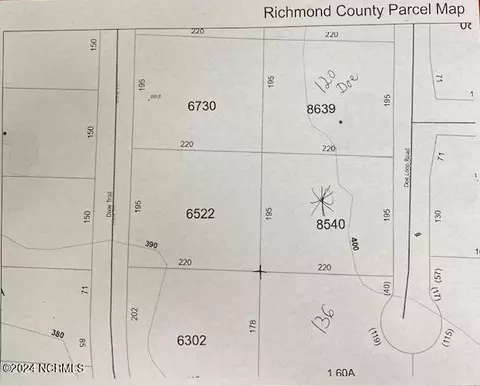 tbd Doe Loop Rd, Rockingham, NC 28379