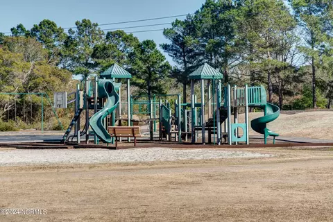 Other - 127 Cherry Laurel Dr, Wallace, NC 28466 photo 12 of 15