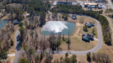 View/Area - 127 Cherry Laurel Dr, Wallace, NC 28466 photo 4 of 10