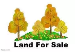 635 Lincoln St S, Wilson, NC 27893