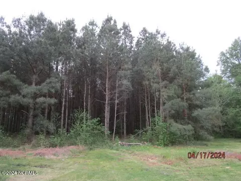 Exterior - 550 Ryland Rd, Tyner, NC 27980 photo 20 of 24