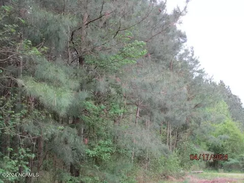 View/Area - 550 Ryland Rd, Tyner, NC 27980 photo 2 of 2