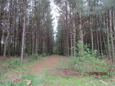 Exterior - 550 Ryland Rd, Tyner, NC 27980 photo 22 of 24