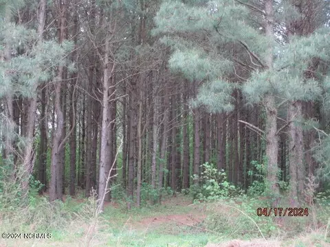 Exterior - 550 Ryland Rd, Tyner, NC 27980 photo 21 of 24
