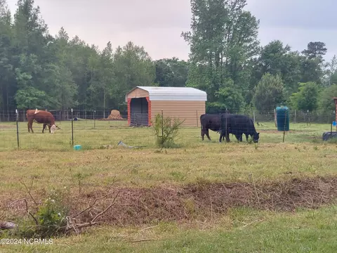 Exterior - 144 Ferris Dr, Atkinson, NC 28421 photo 19 of 21