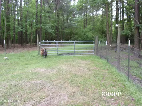 Exterior - 144 Ferris Dr, Atkinson, NC 28421 photo 11 of 21
