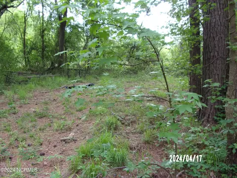 Exterior - 144 Ferris Dr, Atkinson, NC 28421 photo 16 of 21