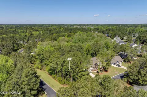 81 Iris Way, Hampstead, NC 28443 photo 6