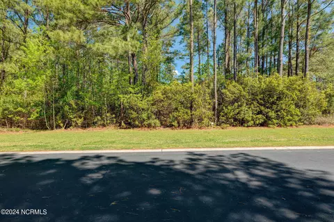81 Iris Way, Hampstead, NC 28443 photo 7