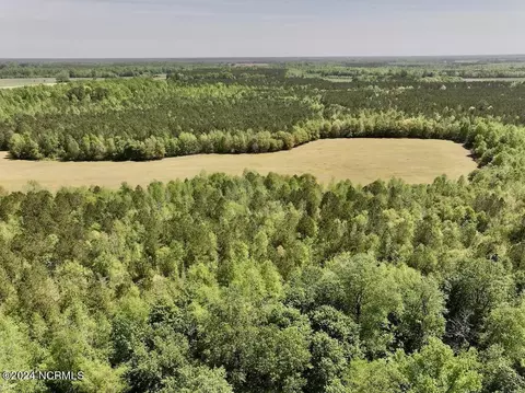 0 Fire Tower Rd, Jackson, NC 27845 photo 11