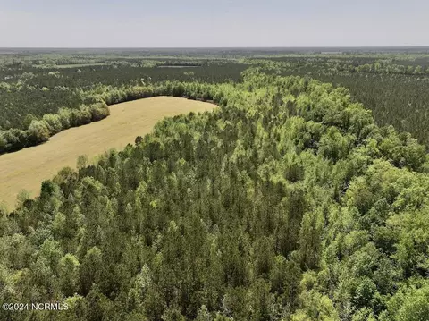 0 Fire Tower Rd, Jackson, NC 27845 photo 8