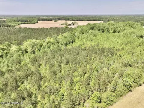 0 Fire Tower Rd, Jackson, NC 27845 photo 15