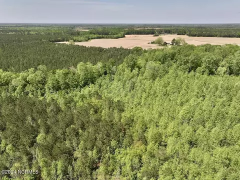 0 Fire Tower Rd, Jackson, NC 27845 photo 16